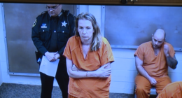 St. Pete mom accused of suffocating her son, stabbing herself in arms