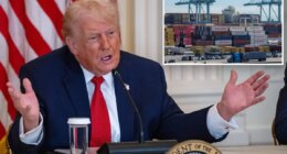 Supreme Court delay may bode Trump win in high-stakes tariff fight, experts say