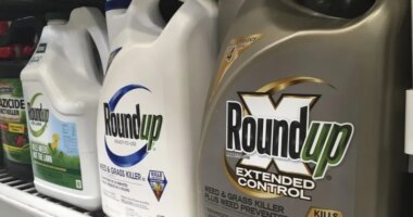 Supreme Court will hear appeal by maker of popular Roundup weedkiller to block thousands of lawsuits