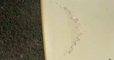 Surfer in hospital after fourth NSW shark attack