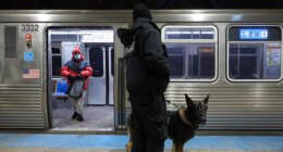 Suspect accused of killing sleeping passenger on Chicago train filmed himself carrying out attack: prosecutors