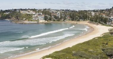Suspected bull shark takes 15cm chunk out of boy's surfboard day after teen mauled