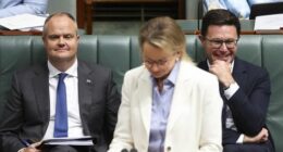 Shadow Treasurer Ted O'Brien, Opposition leader Sussan Ley and Nationals leader David Littleproud during Question Time at Parliament House in Canberra on Tuesday 25 November 2025.