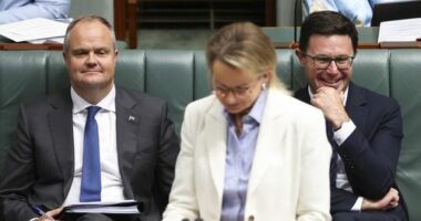 Shadow Treasurer Ted O'Brien, Opposition leader Sussan Ley and Nationals leader David Littleproud during Question Time at Parliament House in Canberra on Tuesday 25 November 2025.