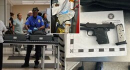 TSA agents list strangest smuggled items of 2025