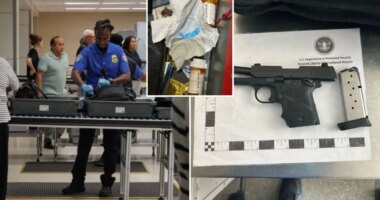 TSA agents list strangest smuggled items of 2025