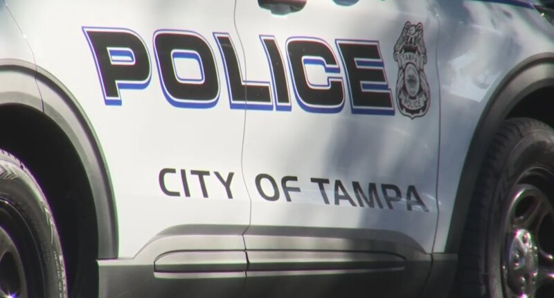 Tampa homicide investigation underway after woman dies, man found with stab wounds