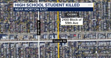 Teen arrested for Cicero shooting death of Johan Adaree-Sanchez, Morton East High School student, on South 59th Avenue: officials