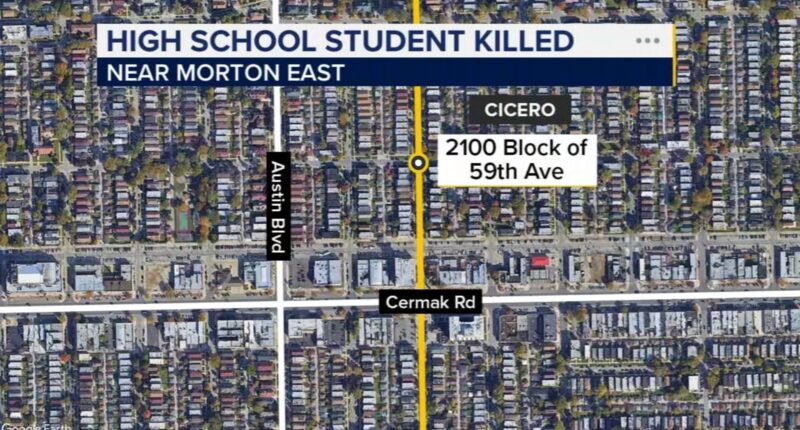 Teen arrested for Cicero shooting death of Johan Adaree-Sanchez, Morton East High School student, on South 59th Avenue: officials