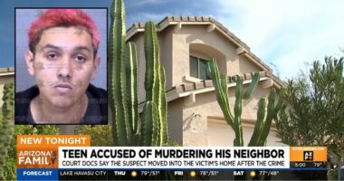 Teen gunned down his neighbor then lived in his house for 2 weeks while his body rotted in the backyard: Police