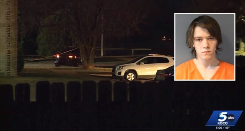 Teen murdered brother after he became 'enraged' over video game and stabbed him multiple times, cops say