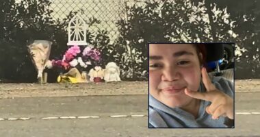 Teen walking home with laundry texted stepmom that she 'finally saw the Little Dipper' before being mowed down and killed by hit-and-run driver: Family