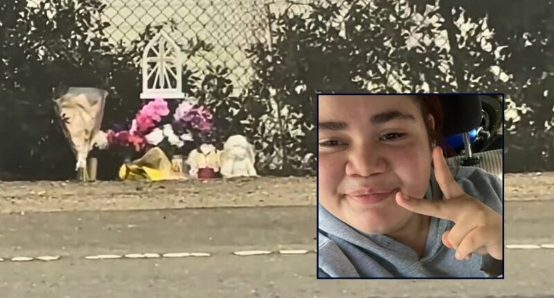 Teen walking home with laundry texted stepmom that she 'finally saw the Little Dipper' before being mowed down and killed by hit-and-run driver: Family