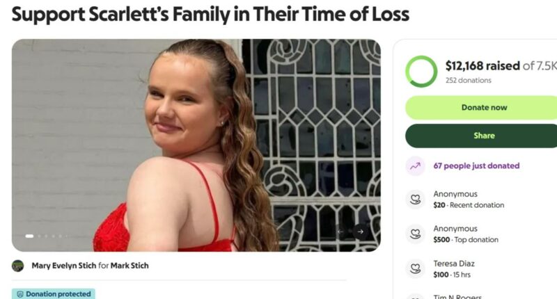 Teen's sudden death on Christmas leaves family mourning