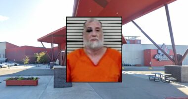 'There was a dead person': Man with 'swollen and bleeding' eye called 911 after leaving long black hairs on knife used to kill woman, police say