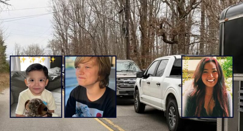 'They were just babies': Mother murders her 2 young sons, octogenarian grandma before turning gun on herself, sheriff says