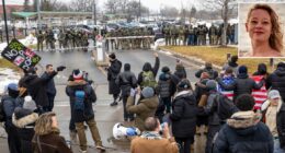 'Things appear to be getting worse': Citizens plead with judge to stop Trump admin from 'terrifying' violence after ICE agent shoots woman dead