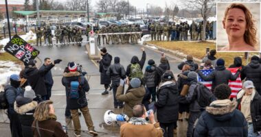 'Things appear to be getting worse': Citizens plead with judge to stop Trump admin from 'terrifying' violence after ICE agent shoots woman dead