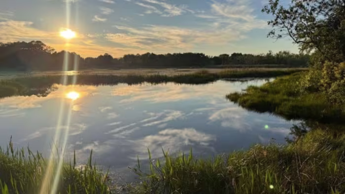 This ‘outrageous’ Central Florida home is hidden on an island. Would you visit?