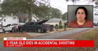 'Through the 2-year-old's skull': Child picks up unsecured gun, accidentally shoots boy in the head and kills him, leading to charges for his mother, cops say