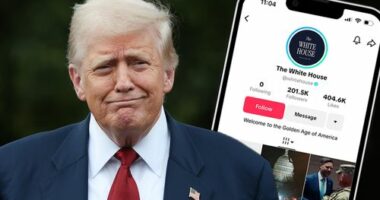 President Donald Trump and The White House TikTok account.