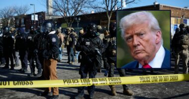 'Too big a step': Appellate panel nixes lower court's restrictions on how ICE agents treat protesters in Minnesota