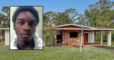 'Too many to count': Florida teen fatally stabbed grandmother until knife broke, then got another to continue the rampage