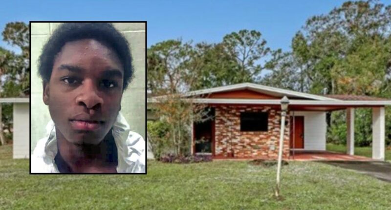 'Too many to count': Florida teen fatally stabbed grandmother until knife broke, then got another to continue the rampage