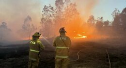Pictures uploaded to Facebook on the Sassafras-Ferny Creek Fire Brigade CFA page. This was the caption they put on the images: One Sassafras-Ferny Creek vehicle and crew was dispatched last night to help with the fires in the Longwood area. We ish them a safe and successful deployment.  Rest assured we have plenty in reserve to deal with any local incidents!