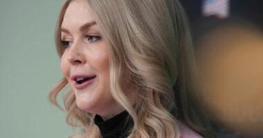 Trump 'actively' discussing potential Greenland purchase