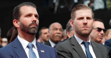 Donald Jr and Eric Trump now run the Trump Organisation.