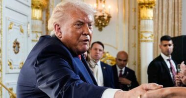 Donald Trump has raged at Norway's prime minister after he didn't win the Nobel Prize.