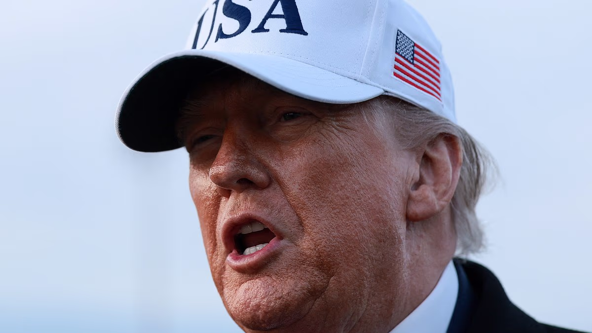 Trump says NATO must back US Greenland bid