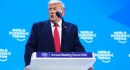 Trump says he 'won't use force' to take control of Greenland