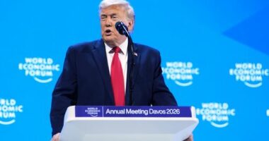 Trump says he 'won't use force' to take control of Greenland