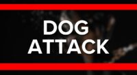 Two Clay County deputies injured in on-duty dog attack: CCSO