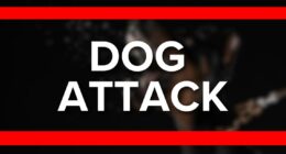 Two Clay County deputies injured in on-duty dog attack: CCSO