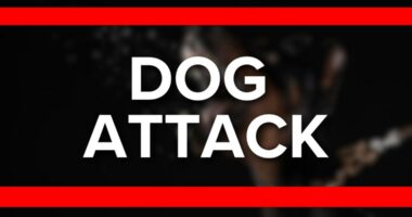 Two Clay County deputies injured in on-duty dog attack: CCSO