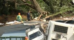 In this image from a video, a police officer with dog searches people near the site of a landslide at the base of Mount Maunganui on New Zealands North Island Thursday, Jan. 22, 2026.