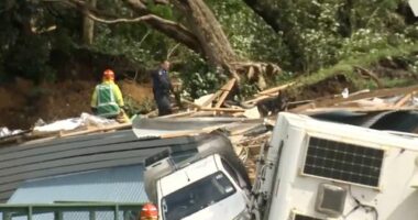 In this image from a video, a police officer with dog searches people near the site of a landslide at the base of Mount Maunganui on New Zealands North Island Thursday, Jan. 22, 2026.