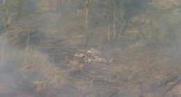 Two people have sustained life-threatening injuries in a light plane crash in Queensland.