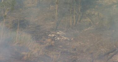 Two people have sustained life-threatening injuries in a light plane crash in Queensland.