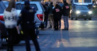 Federal immigration officers shoot and wound two people outside a hospital in Portland, Oregon, on January 8.