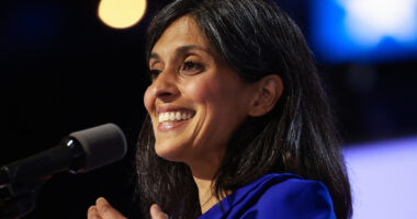 Usha Vance Was Never The Same After Marrying JD