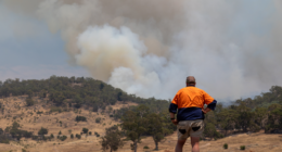 Victoria bushfires could burn 'for weeks', expert warns