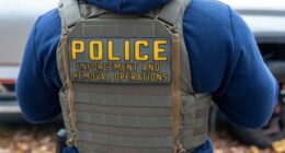 Video Shows Another MN Woman Attempting to Block ICE With Her Car, And She Gets Yolked Up in a Hurry