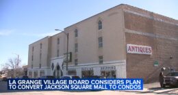 Village of La Grange, Illinois board approves developer's controversial plan to convert Jackson Square Mall into condos