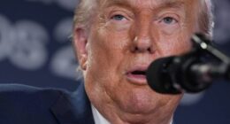 'Trump always chickens out' is a common expression on Wall Street.