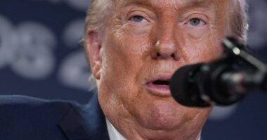 'Trump always chickens out' is a common expression on Wall Street.