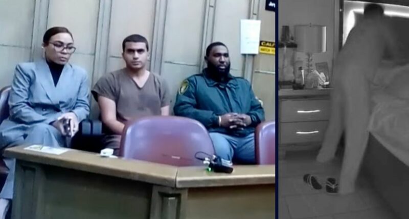 'Was that bad?': 15-year-old boy who calmly admitted stabbing his mother 46 times learns fate after abrupt plea change